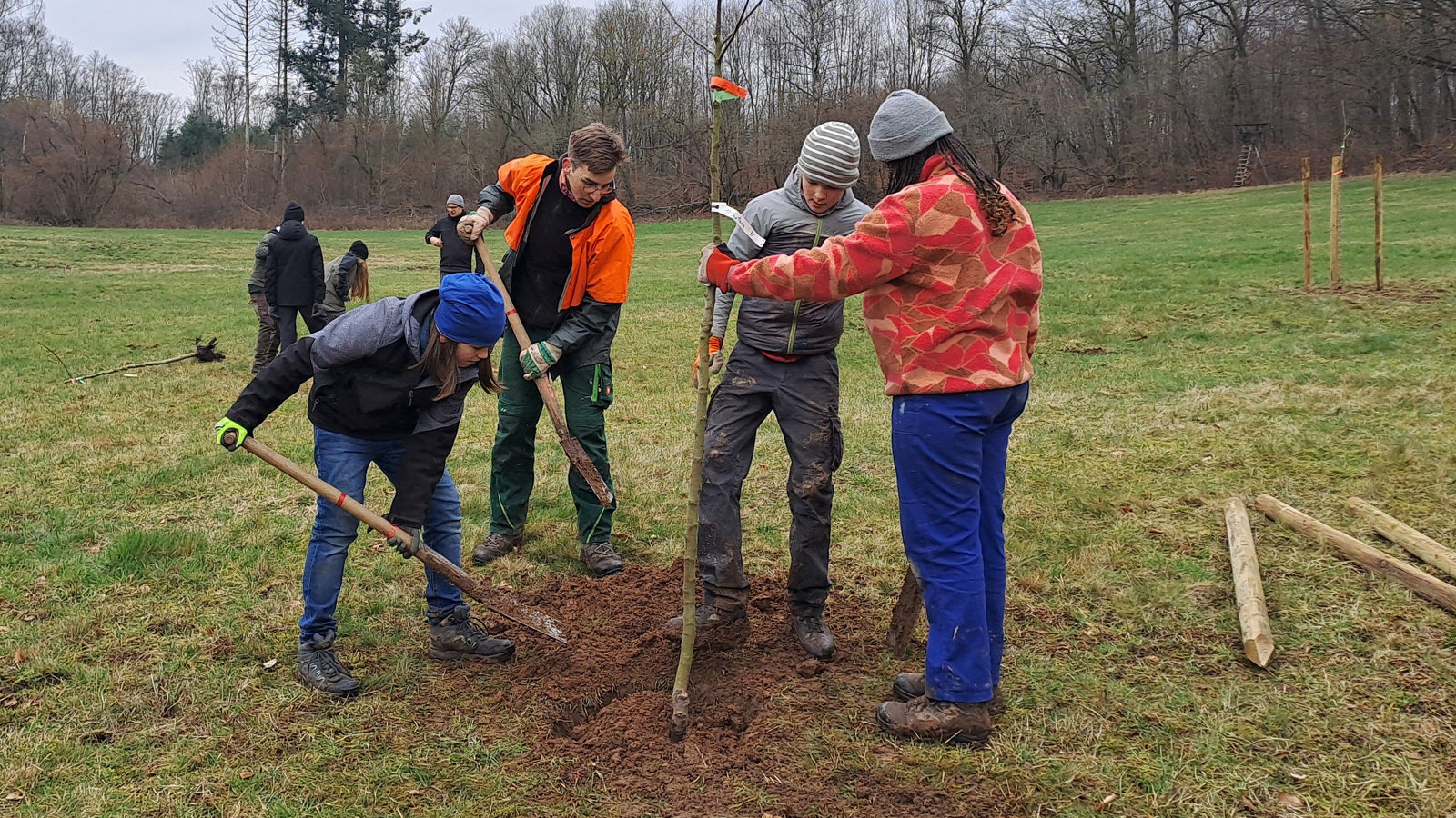 Niedersächsische Landesforsten ermöglichen Freiwilliges Ökologisches Jahr mit Praxis im Wildpark Neuhaus